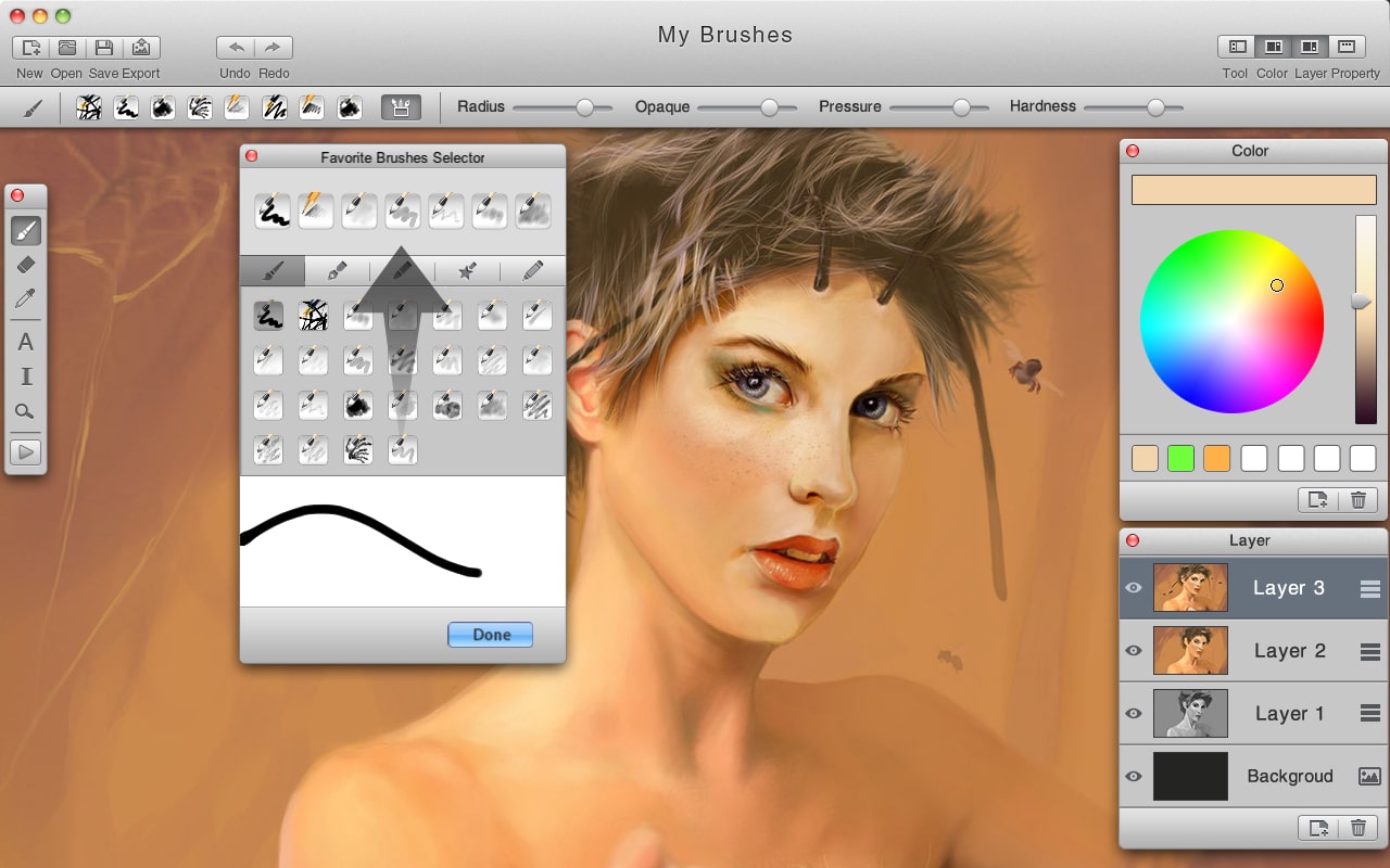 paint for mac software